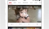 偷偷鲁视频,一场网络迷雾中的探秘之旅