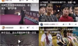 漫展吃瓜事件爆料视频,揭秘幕后真相与网友热议