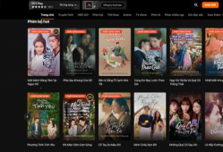 国产视频网站,引领潮流的影视娱乐新天地