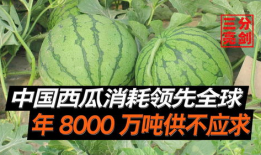 广西吃瓜爆料是真的吗,真相揭秘，是真是假？